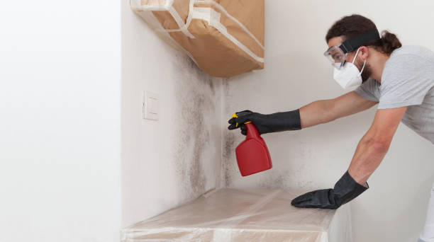 Professional Mold Testing technician working in Bogota, NJ
