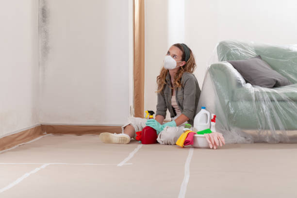 Trusted Basement Mold Remediation service in Bogota, NJ - Cheap Mold Removal